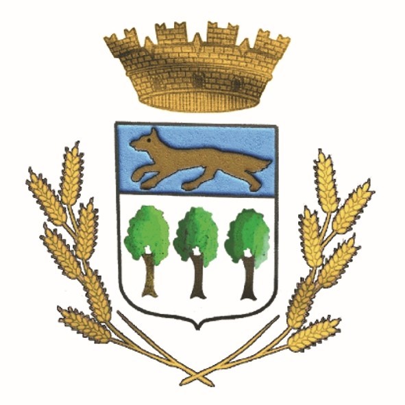 image5