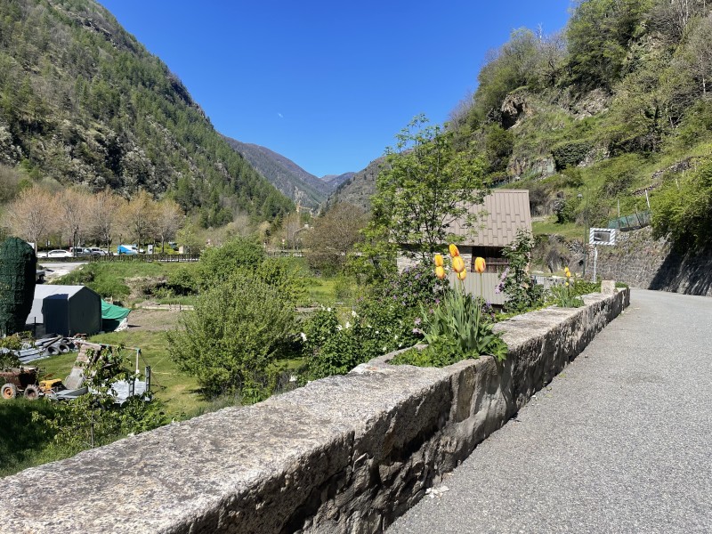image6